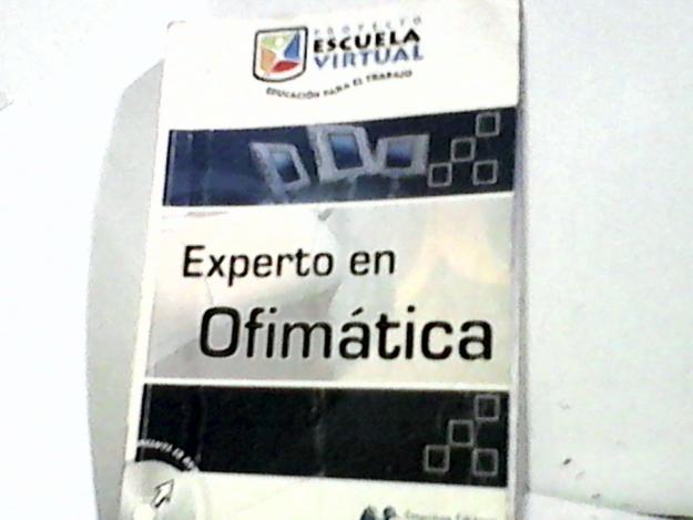 EXPERTO EN OFIMATICA