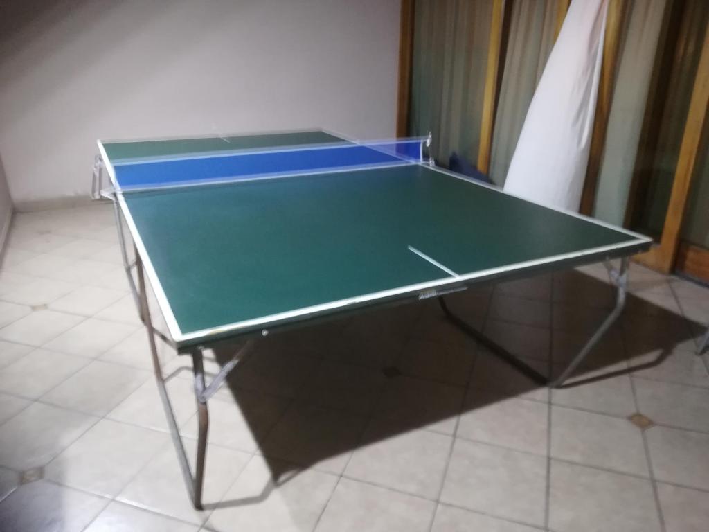 Mesa de ping pong plegable con funda