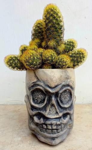 Planta De Exterior, Cactus Deditos, Con Maceta De Cerámica.