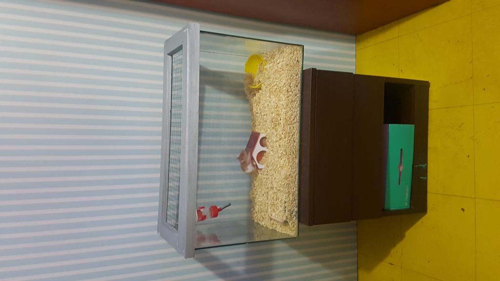 CCASA PARA HAMSTERS CON ACCESORIOS