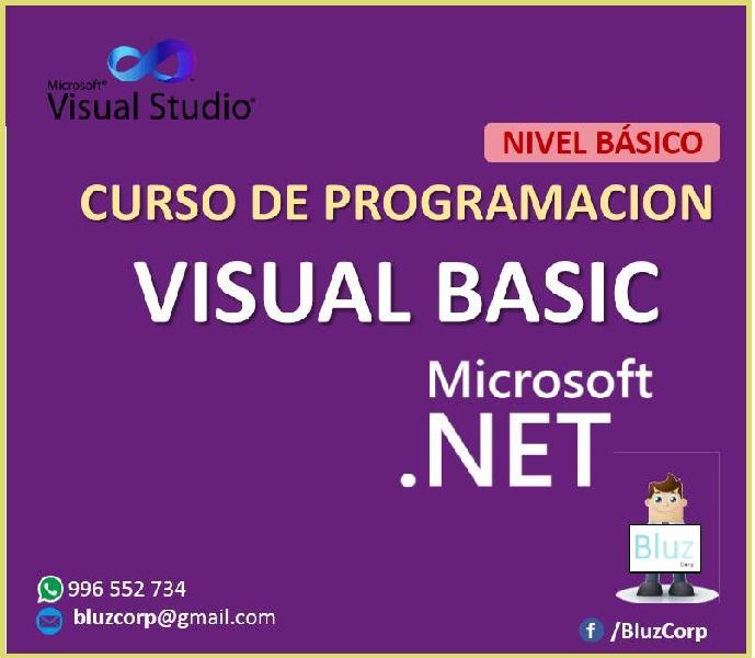 Clases Particulares De Visual basic.Net