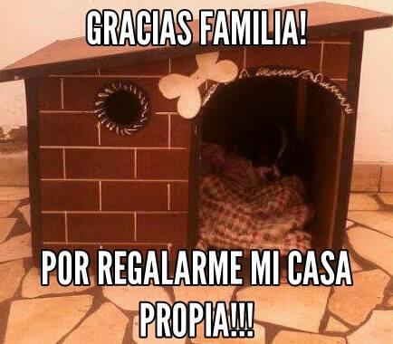 OFERTA DE CASAS PARA MASCOSTAS