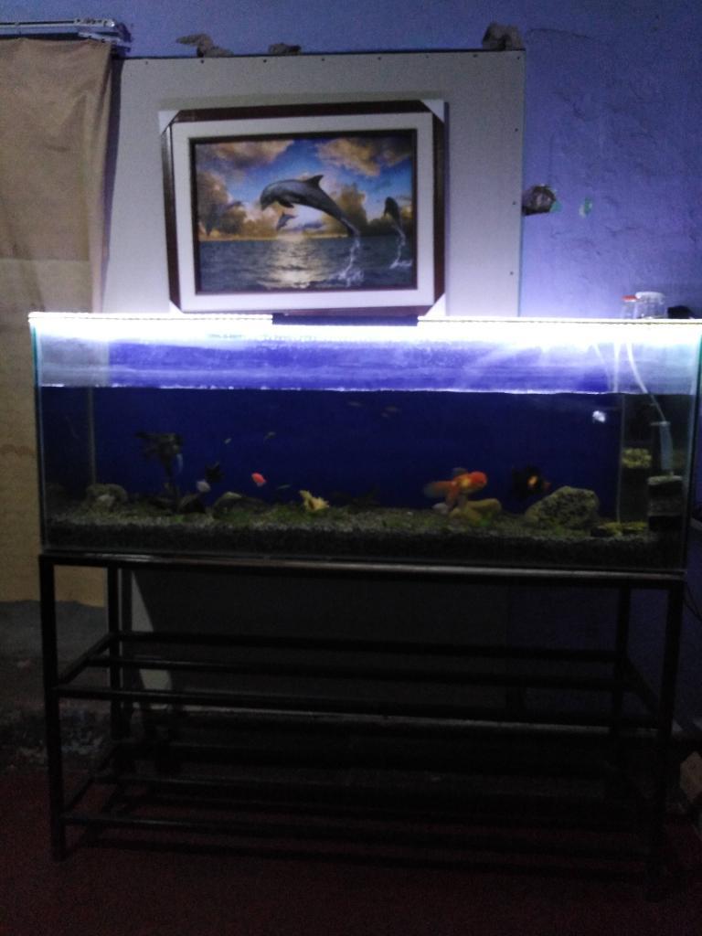 Vendo Acuario