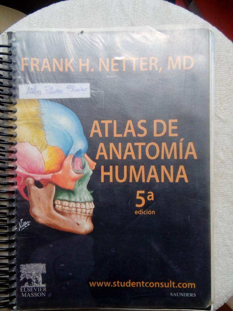 Atlas de Anatomia Humana - Netter