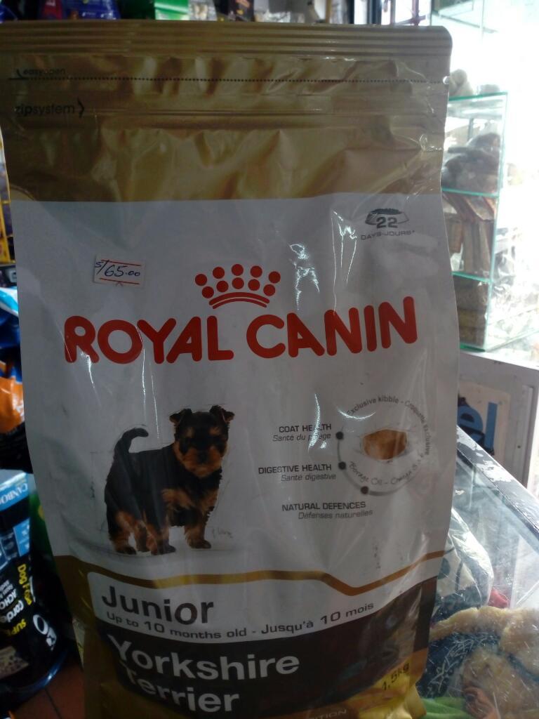 Royal Canin Yorkschire