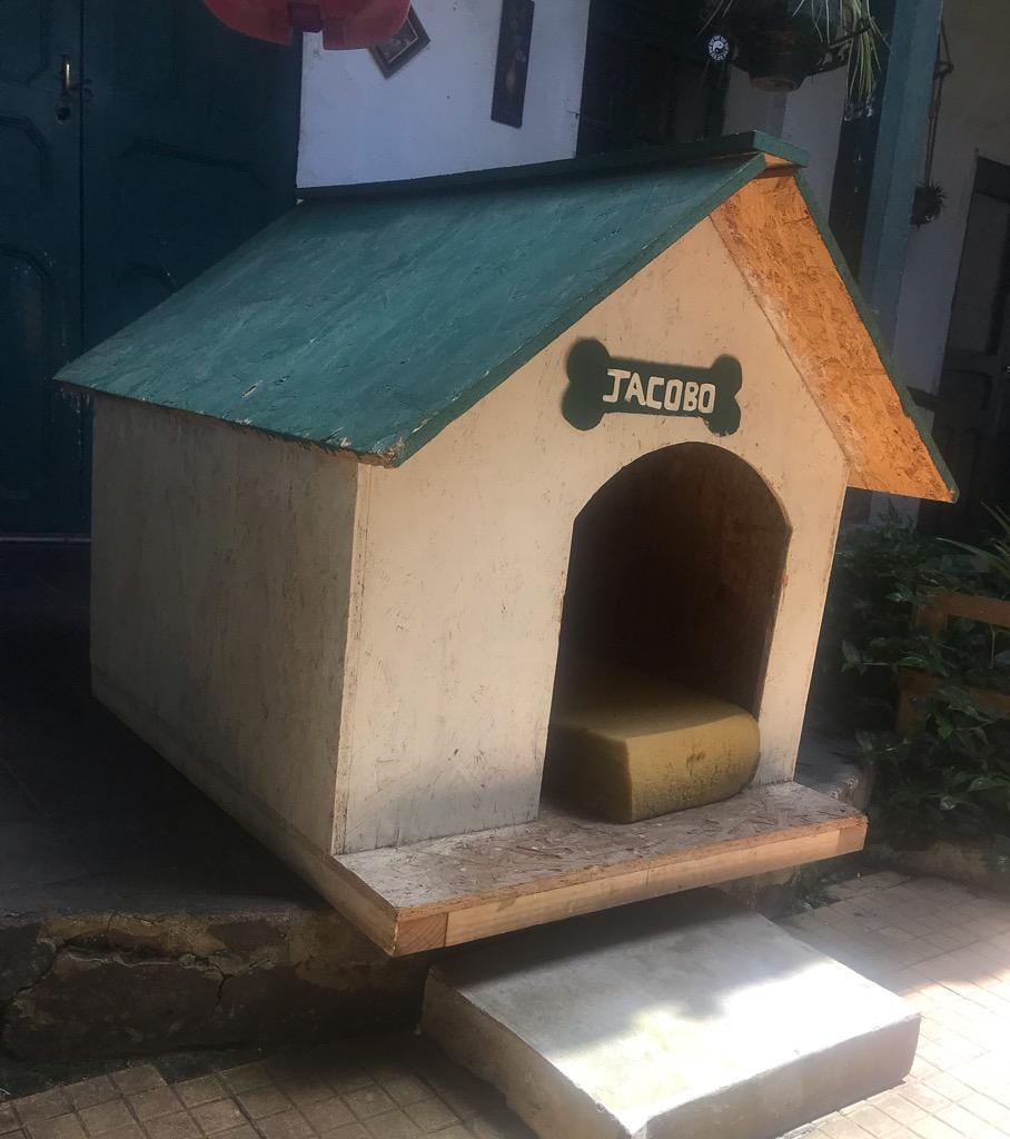 Casa para Perro