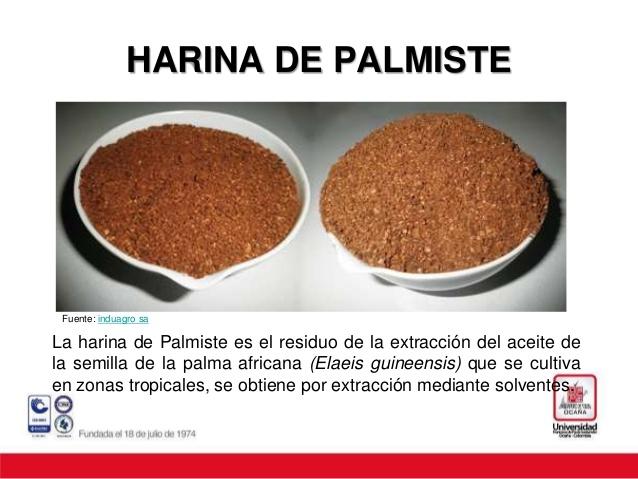 VENTA DE HARINA PALMISTE