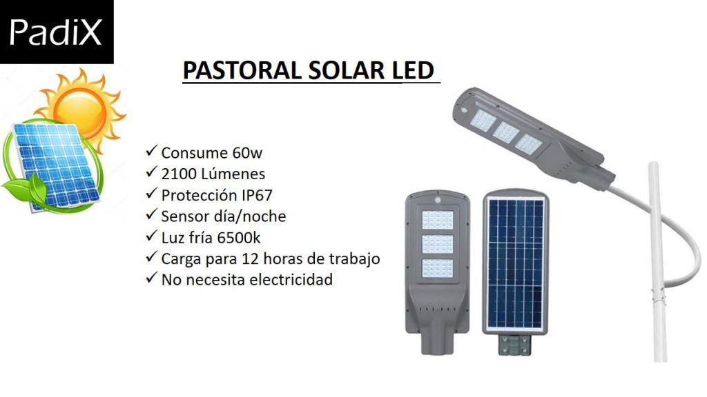 Pastoral Solar LED