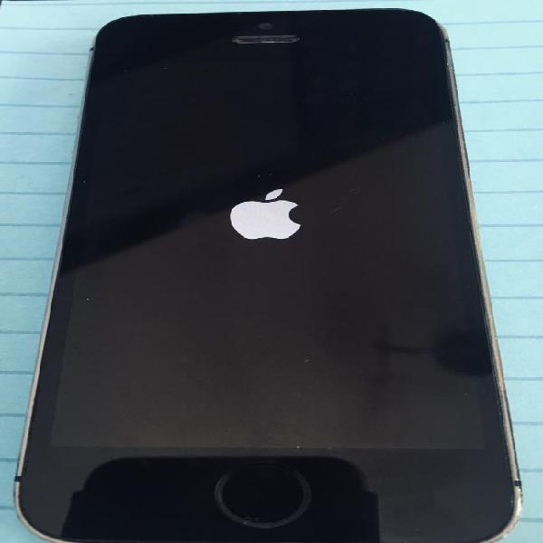 Apple iPhone 5S 16Gb Usado Libre