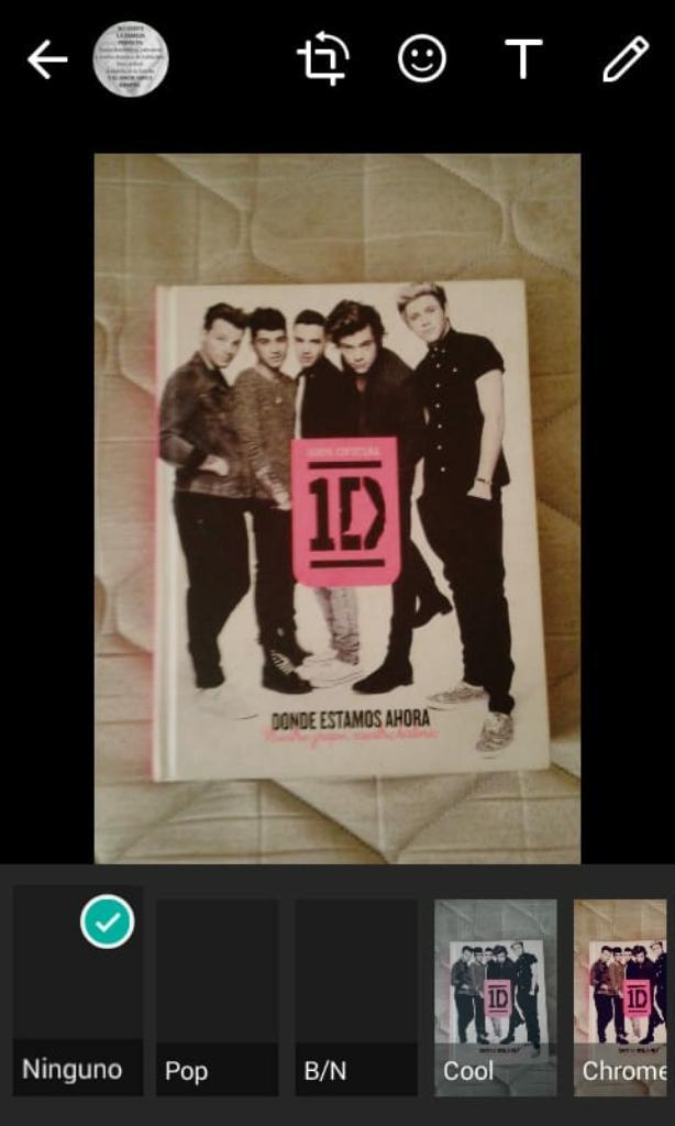 Libro Revista One Direction