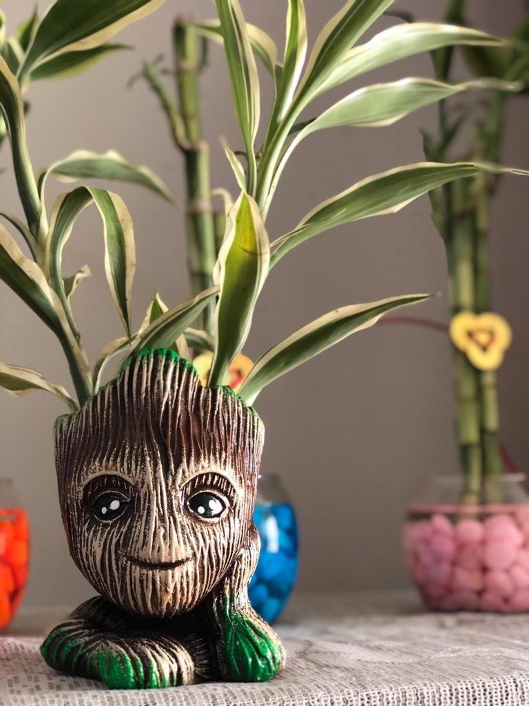 Bambu Groot