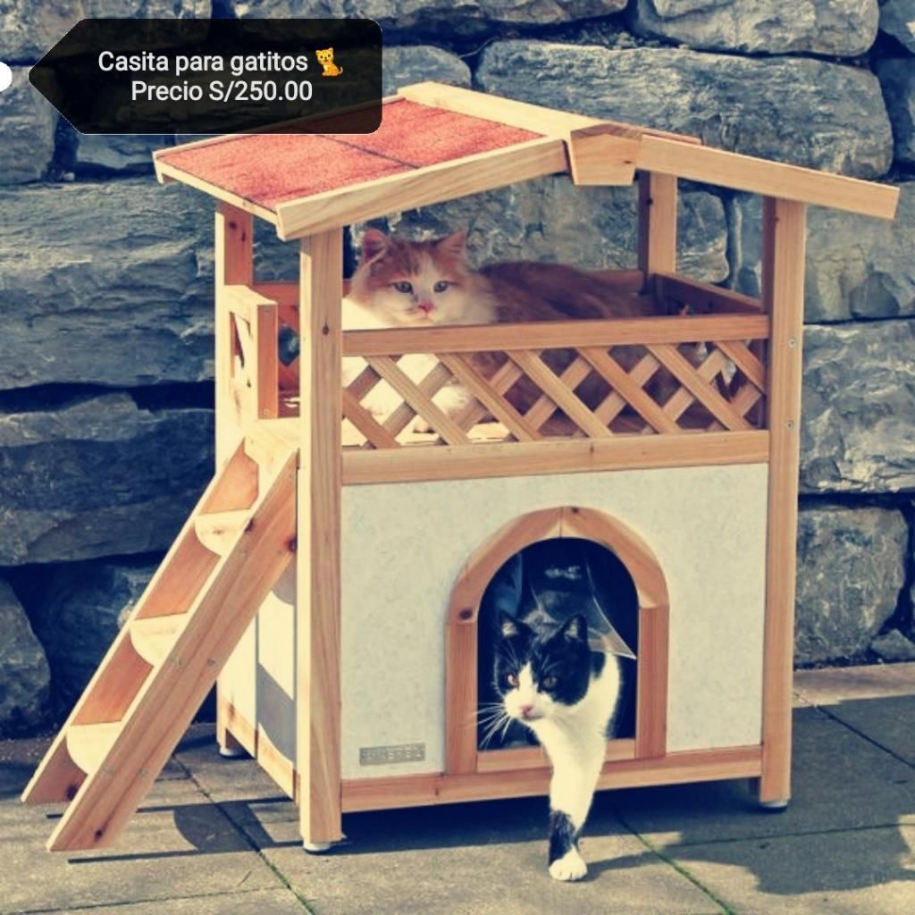 Casita para Gatito