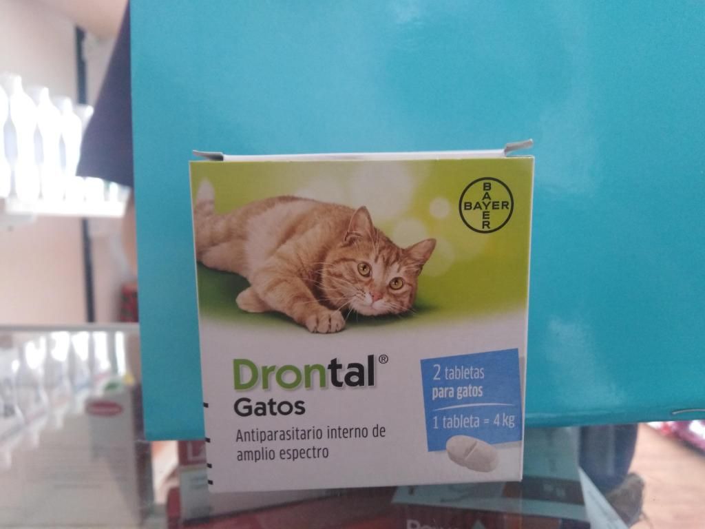 Drontal gato hasta 4kg
