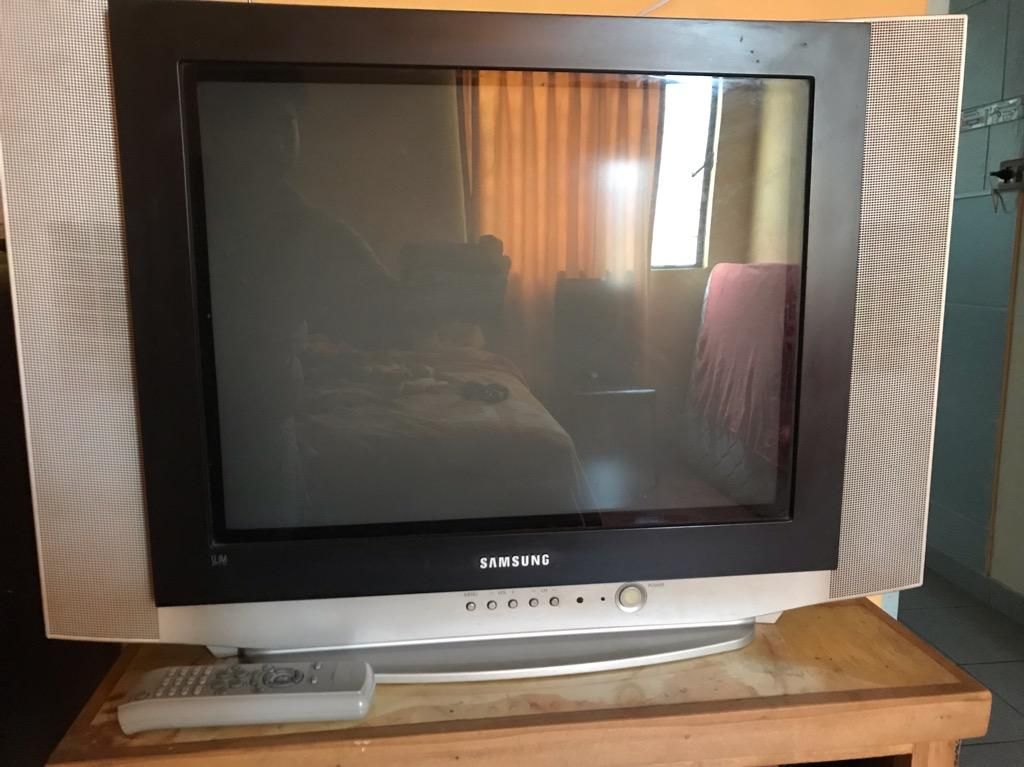Televisor Samsung 21 Pulgadas