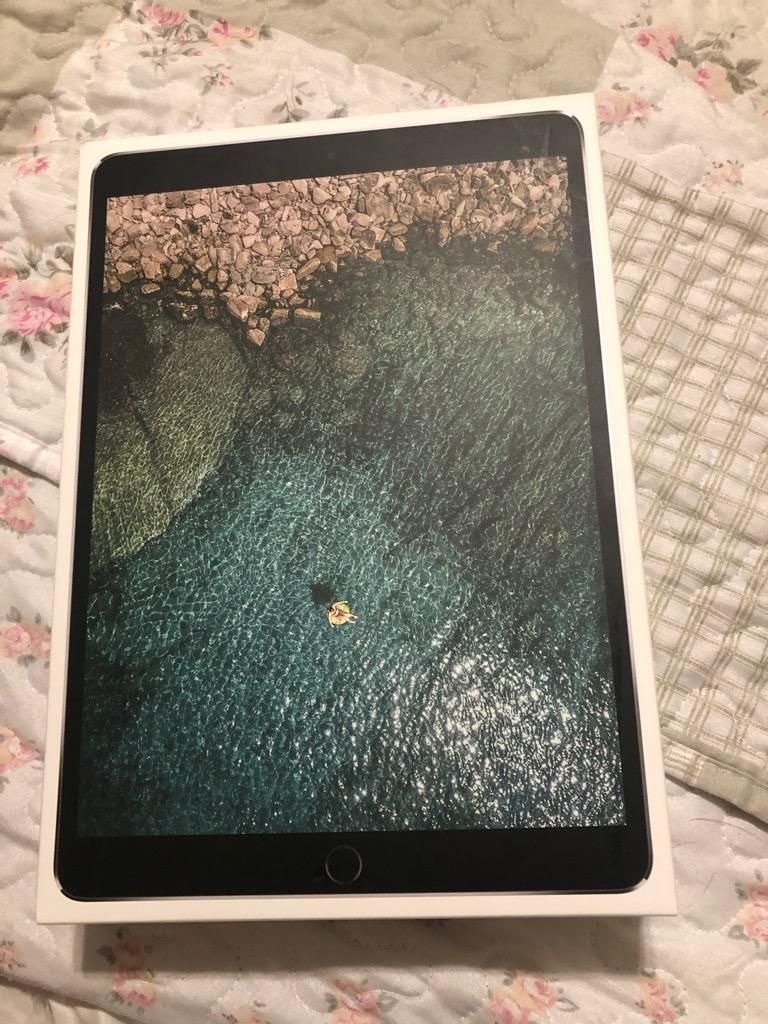 iPad Pro 256Gb WifiCellular