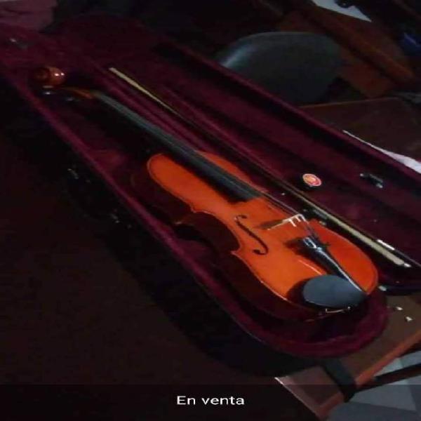 Viola