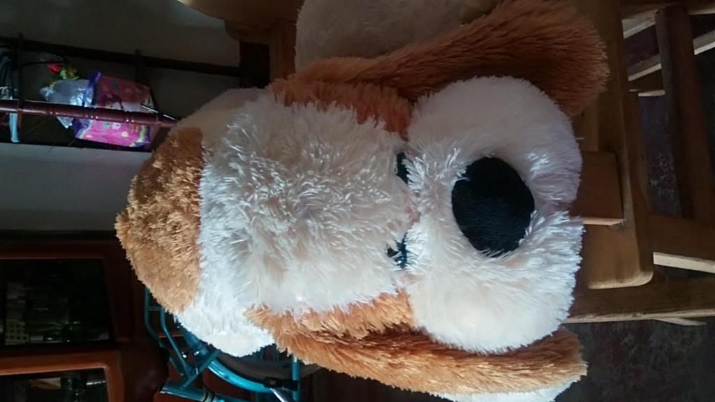 Peluche de perrito grande en buen estado semi nuevo