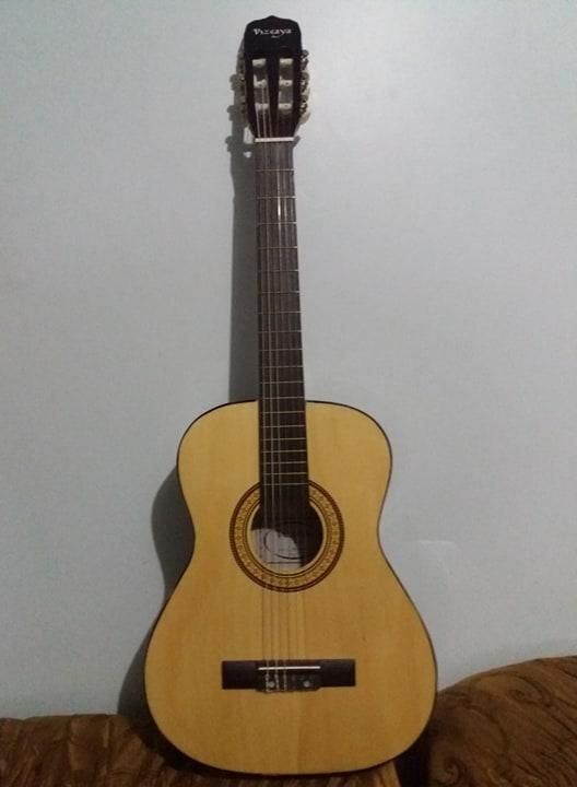 GUITARRA VIZCAYA