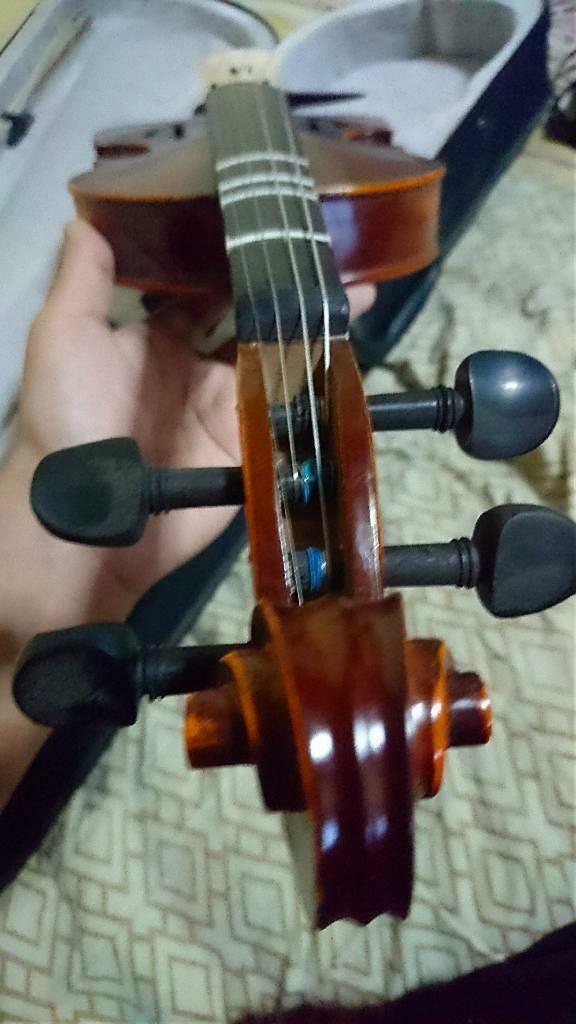 Violin