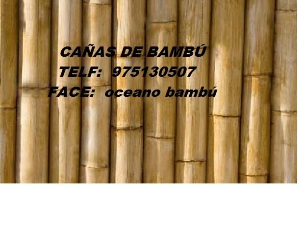 cañas de bambú
