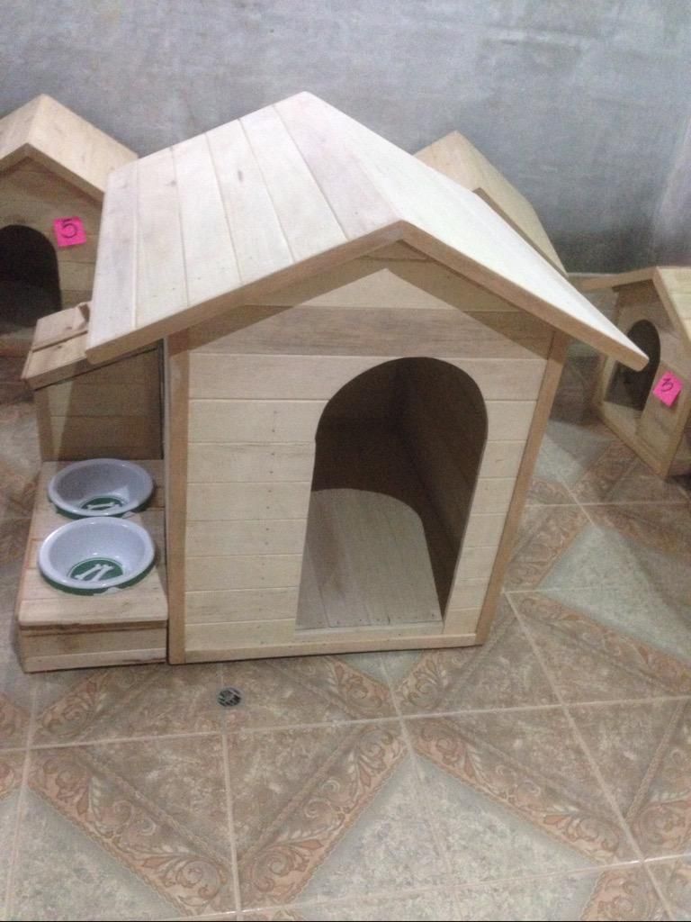 Casa de Perro Y Gatos