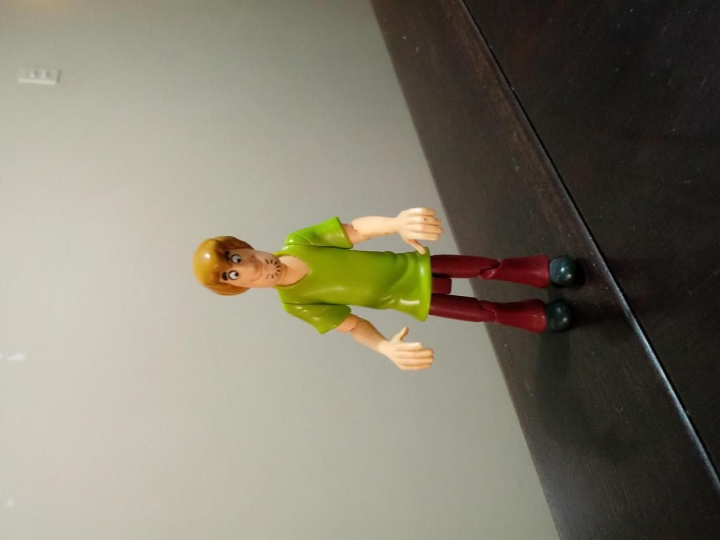 Figura de accion Shaggy de la serie Scooby Doo