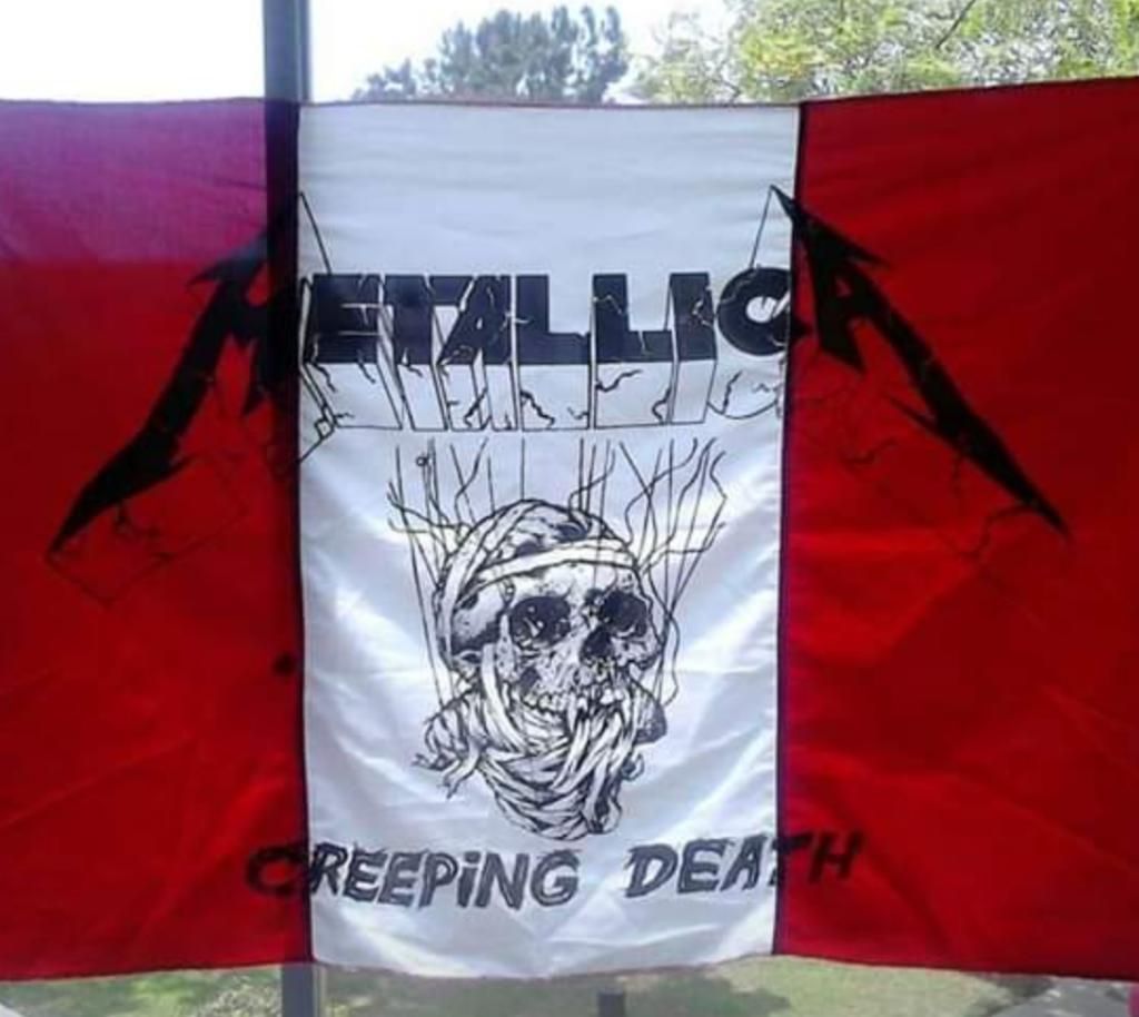Oferta, Bandera de Metallica a 35 Soles!