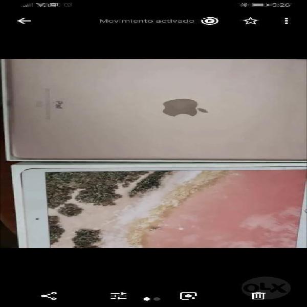 iPad Pro Rose Gold 64 Gb con Todo