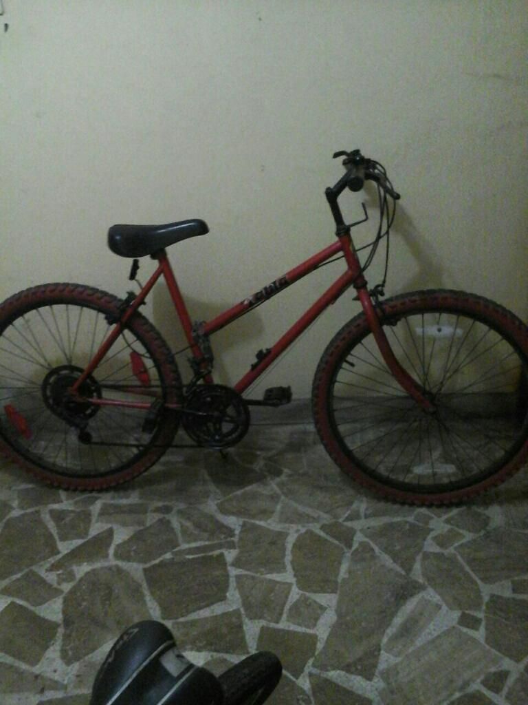 Bicicleta