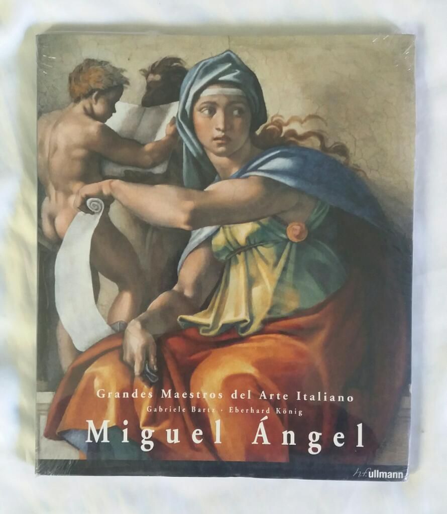 Miguel Angel Grandes Maestros Del Arte