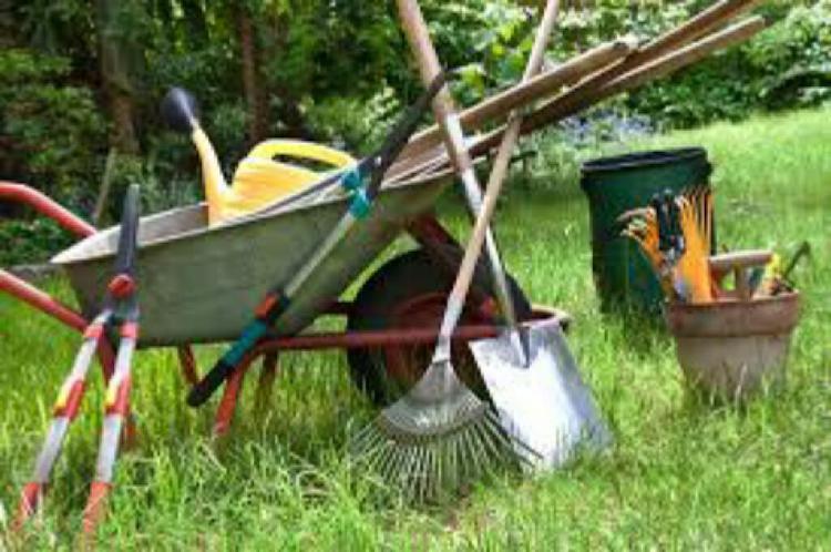 Servicio Jardineria