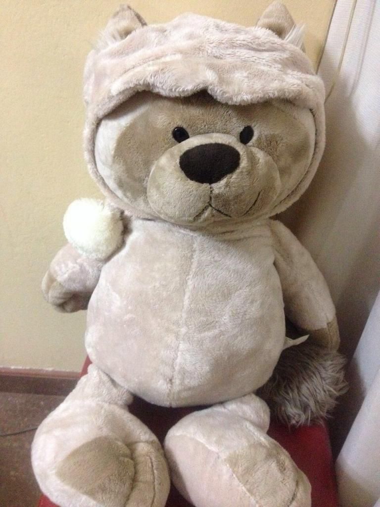 Oso de Peluche