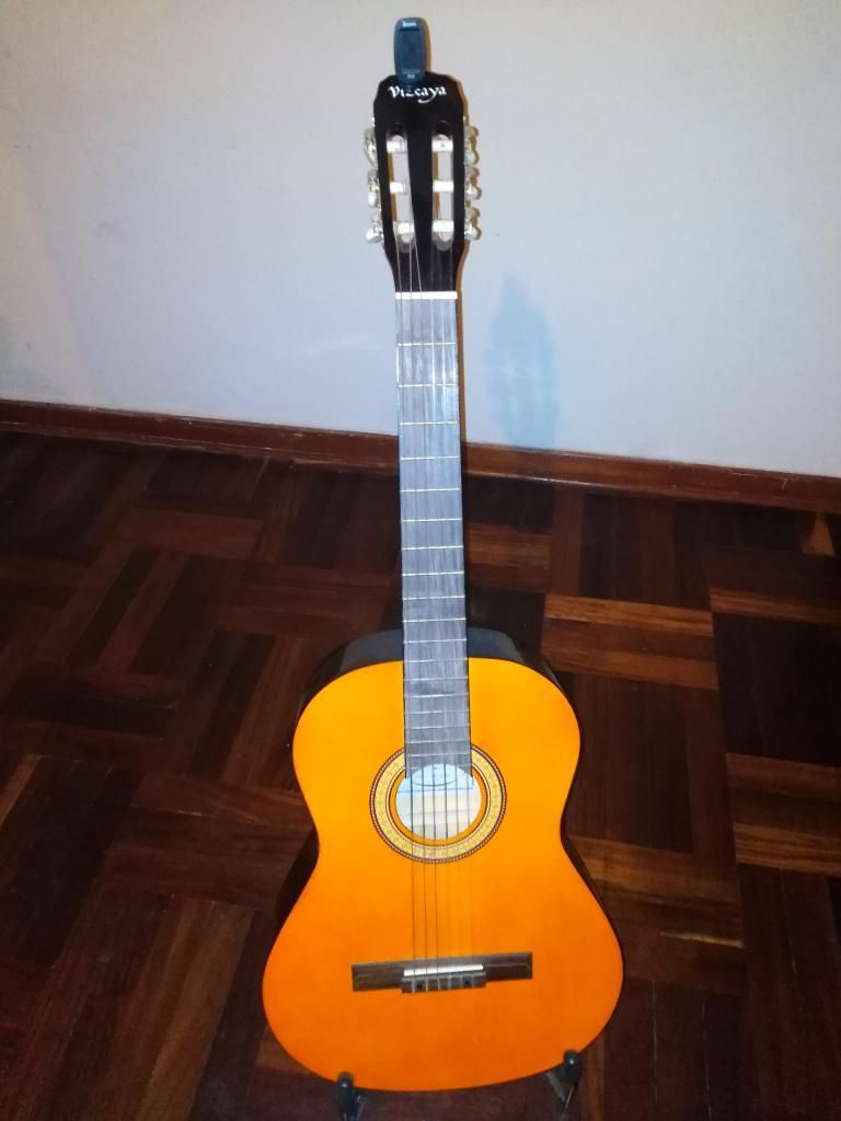 Remato Guitarra Vizcaya