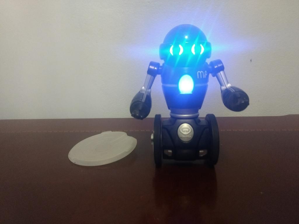 Robot Mip
