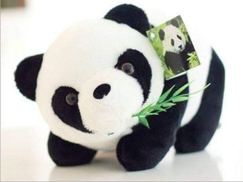 Peluche Oso Panda Bambu 15cm A 50cm + Bolsa Regalo