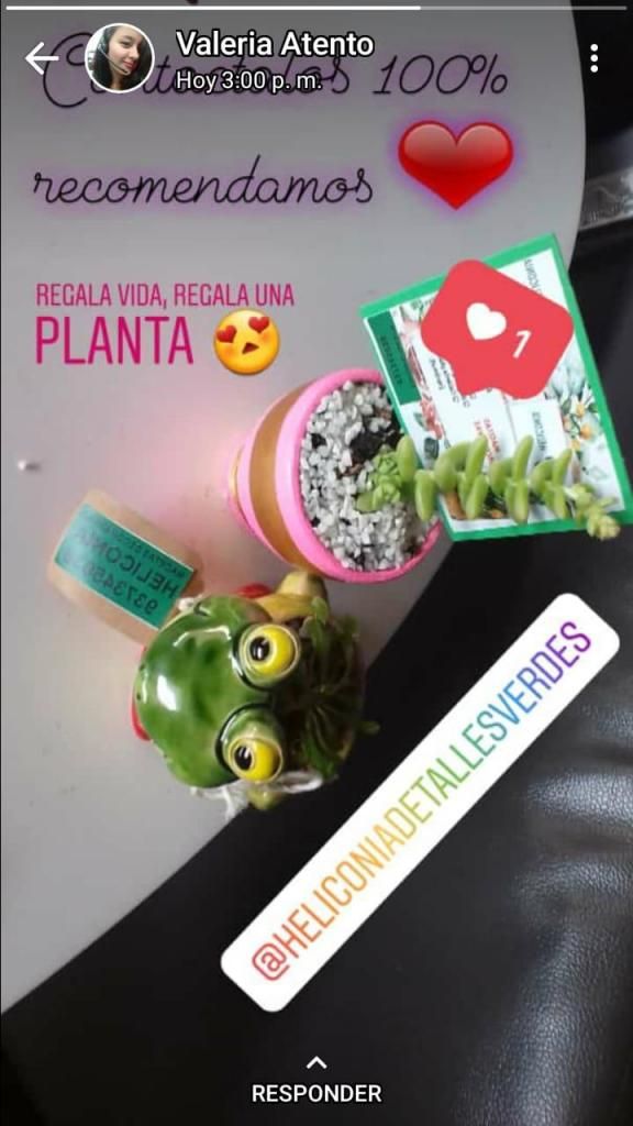 Compra las mejores plantas al mejor precio