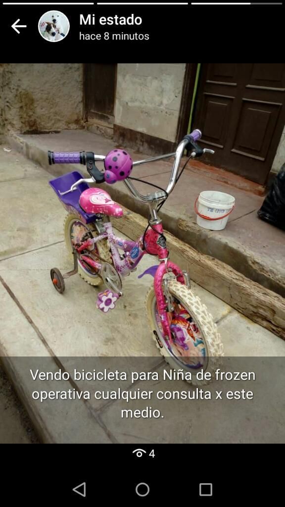 Bicicleta de Niña de Frozen