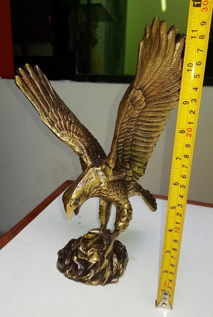 Águila de Bronce