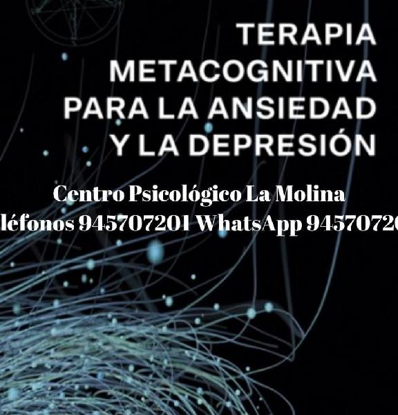 Psicólogo Especializado en Depresión