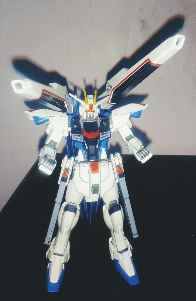 Gumpla Freedom Gundam  Hg