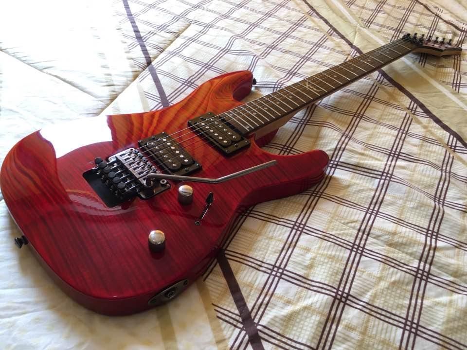REMATE! Guitarra Eléctrica Dean Custom 350 Series - Floyd
