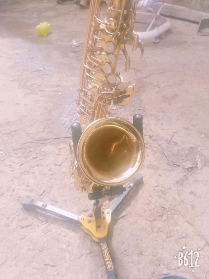 Vendo un hermoso saxofn