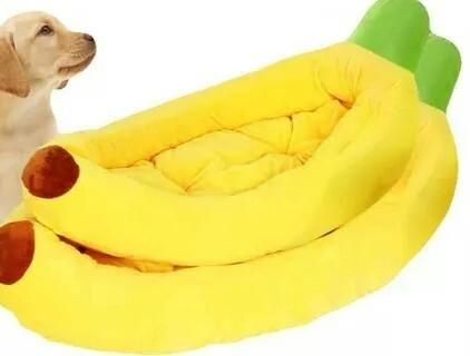 Camas Banana