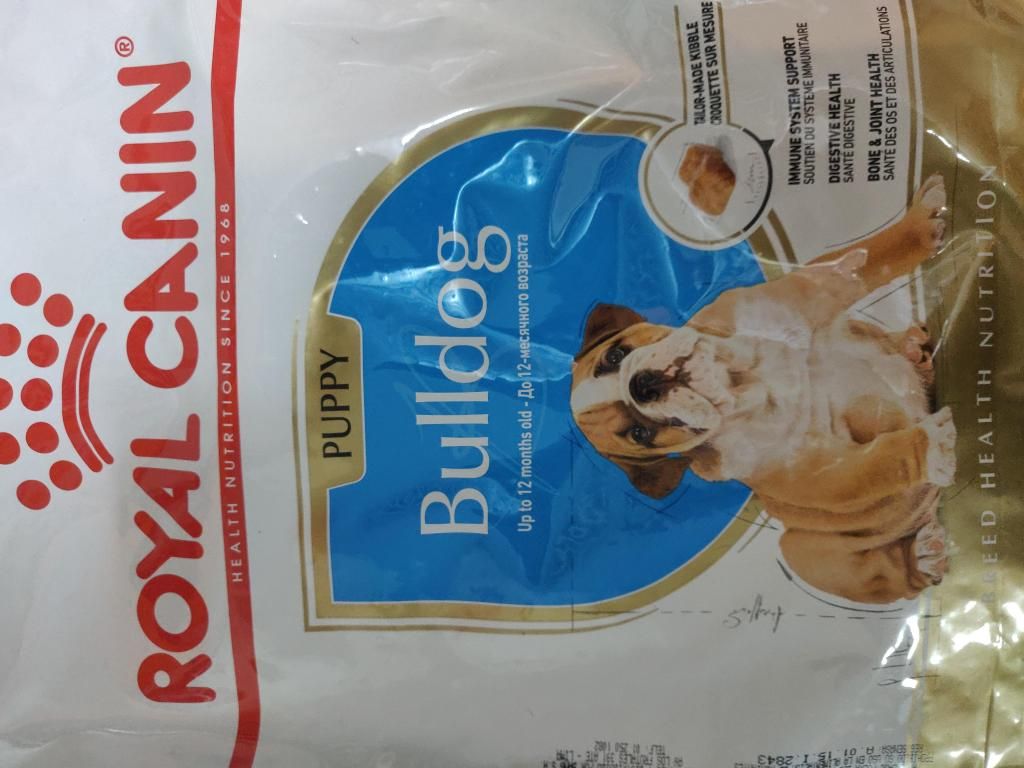Royal Canin Bulldog Junior bolsa de 12 Kg