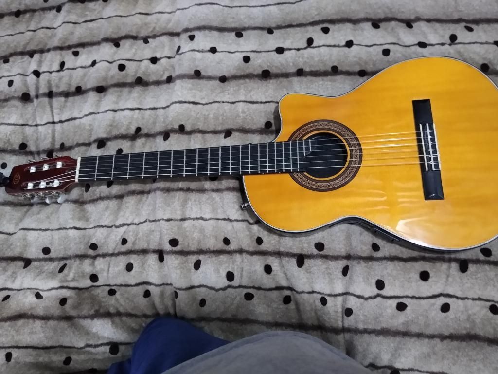 Guitarra Semi Solida