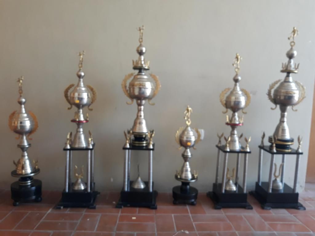 Se vende 7 trofeos deportivos