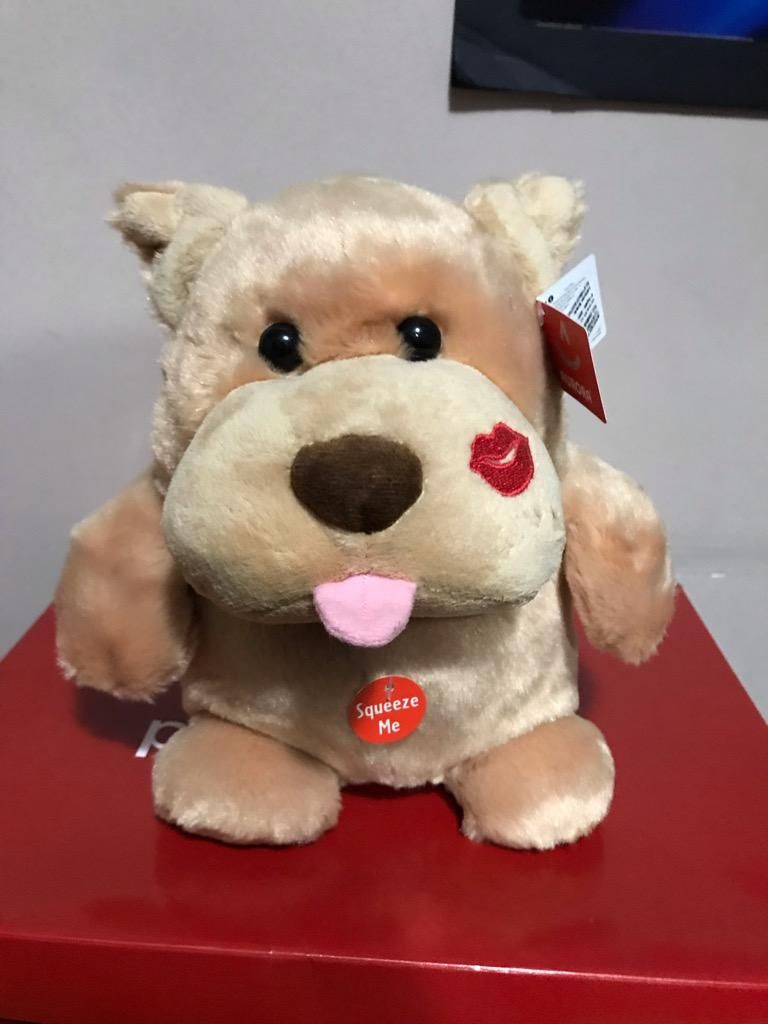 Peluche Oso con Sonido