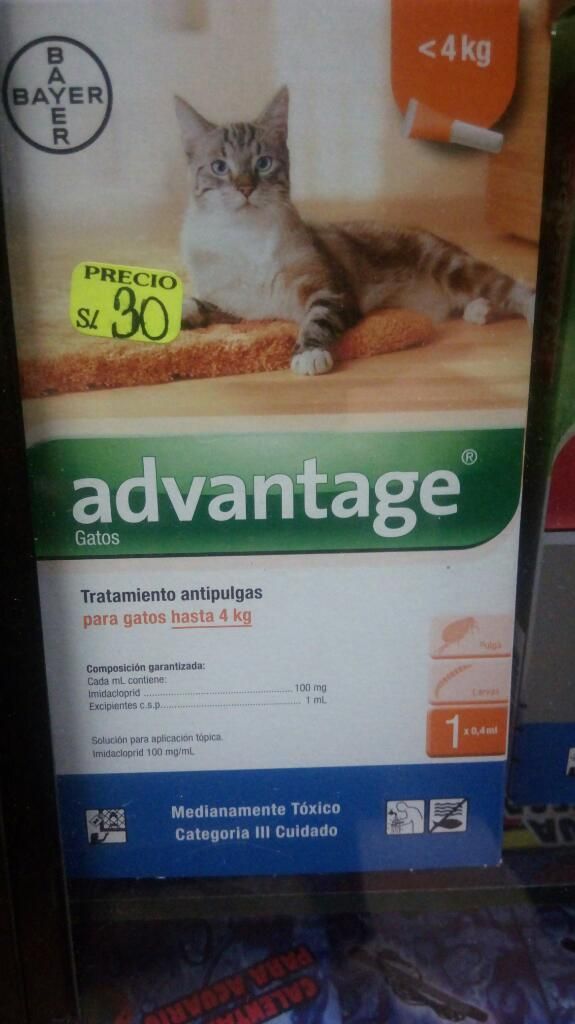 Pipeta Advantage para Gatos