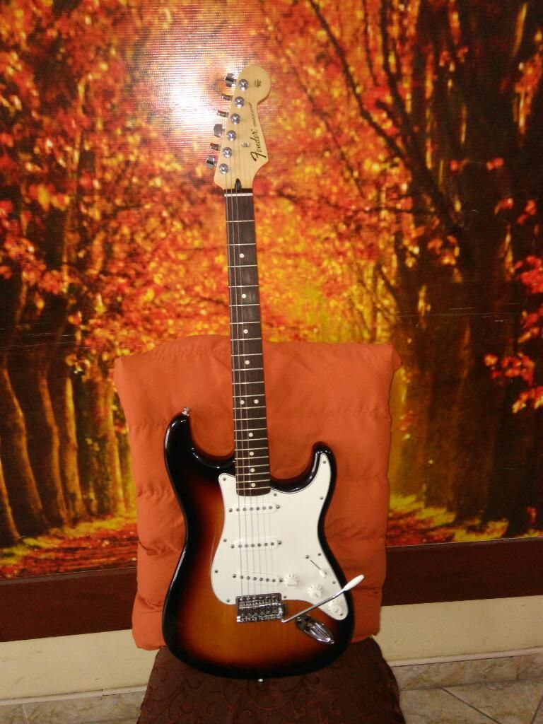 Fender Stratocaster Standard Mim 