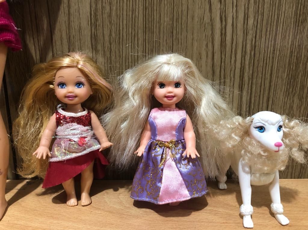 Hermanitas de Barbie Y Mascota